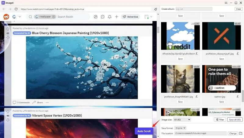 Imaget downloader image 4
